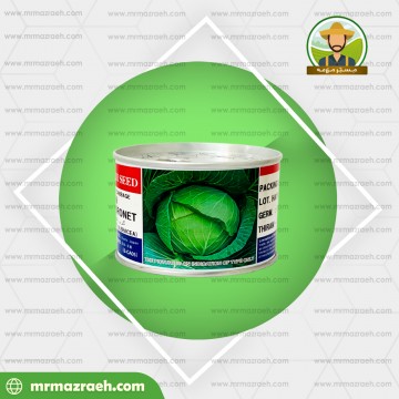 کلم پیج گرین کورنت