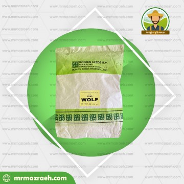 نخود فرنگی ولف روزن سید